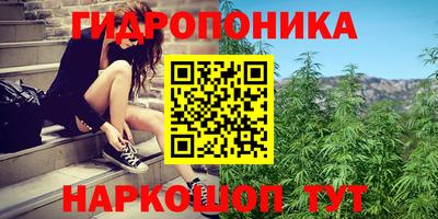 индика Нарткала