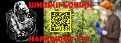 индика Нарткала