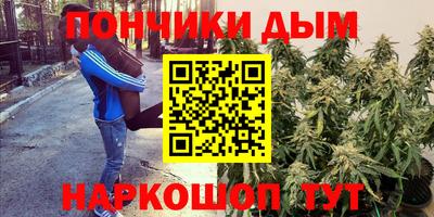 индика Нарткала